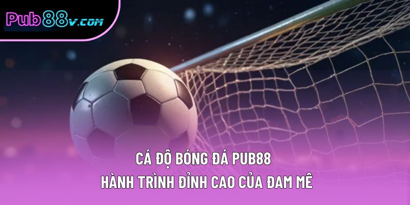Cá Độ Bóng Đá Pub88 – Hành Trình Đỉnh Cao Của Đam Mê