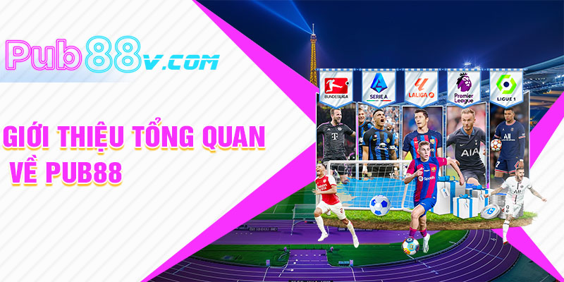 Giới Thiệu Tổng Quan Về Pub88