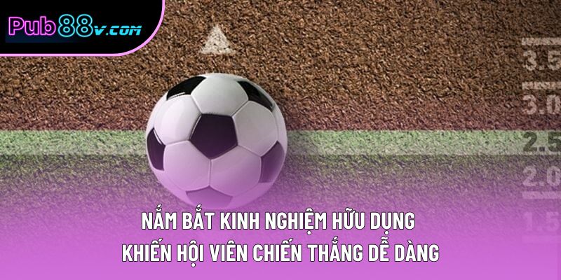 Nắm bắt kinh nghiệm hữu dụng khiến hội viên chiến thắng dễ dàng