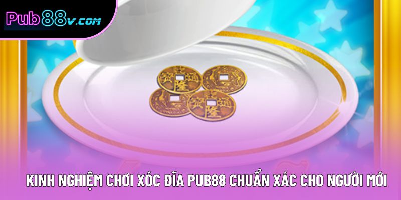 Kinh Nghiệm Chơi Xóc Đĩa Pub88 Chuẩn Xác Cho Người Mới