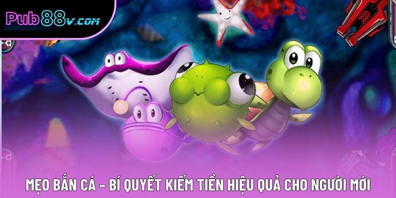 Mẹo Bắn Cá – Bí Quyết Kiếm Tiền Hiệu Quả Cho Người Mới